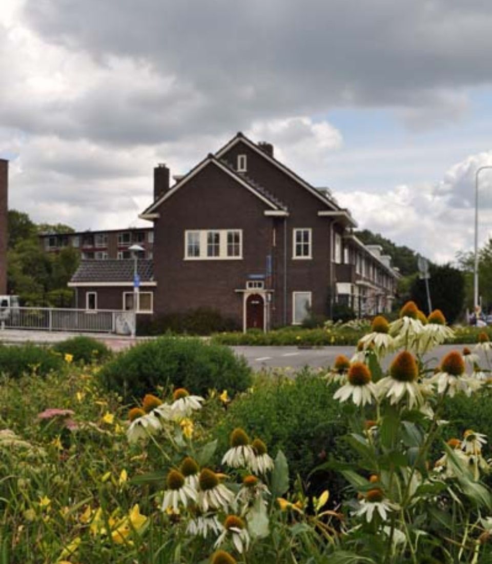 kamer huren polder