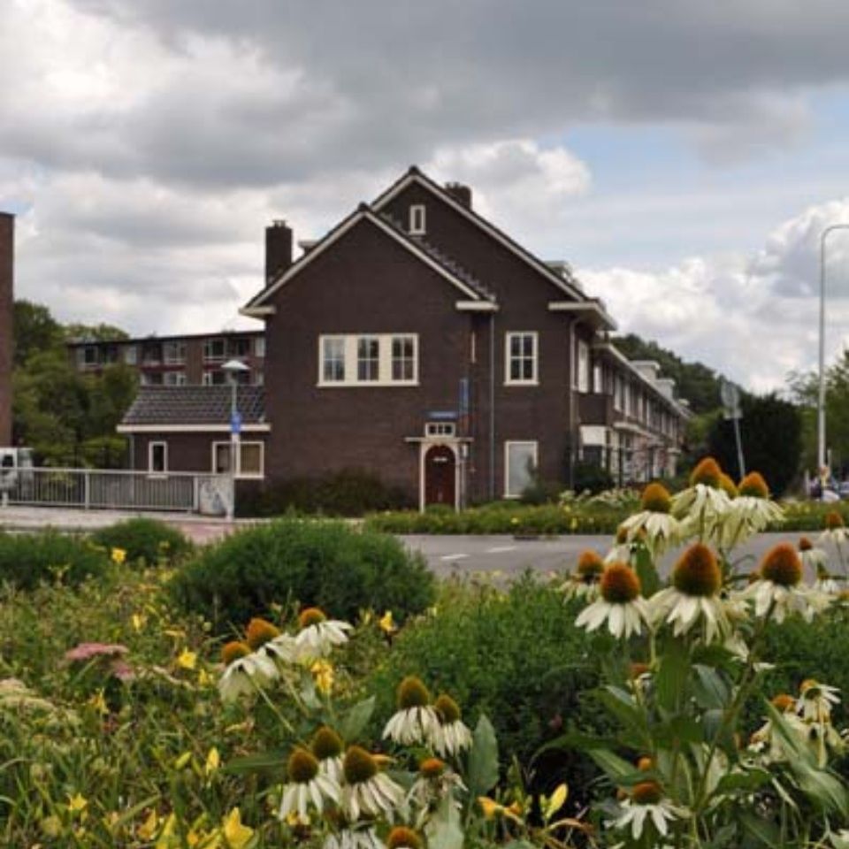 kamer huren polder